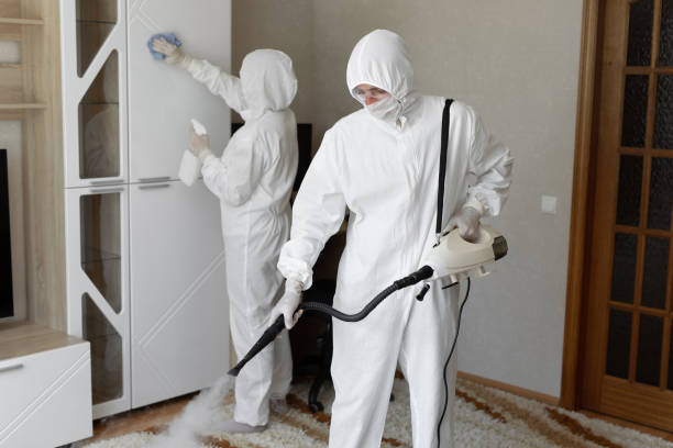 Certified Mold Removal in Ogallala, NE
